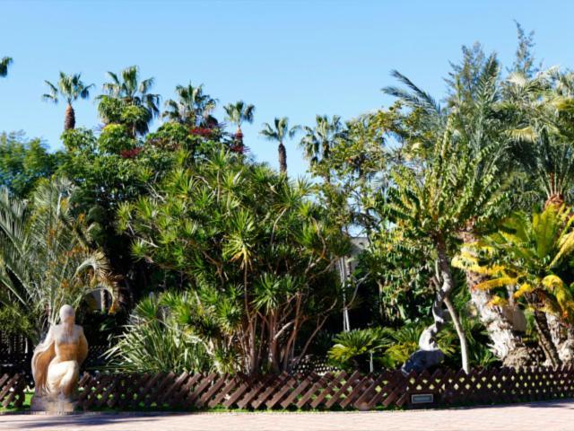 Las Palmeras Альмуньєкар Екстер'єр фото